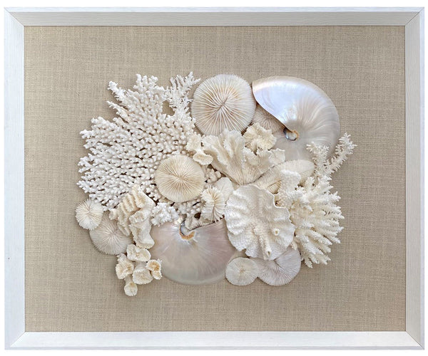 Natural Coral and Pearled Nautilus Wall Art